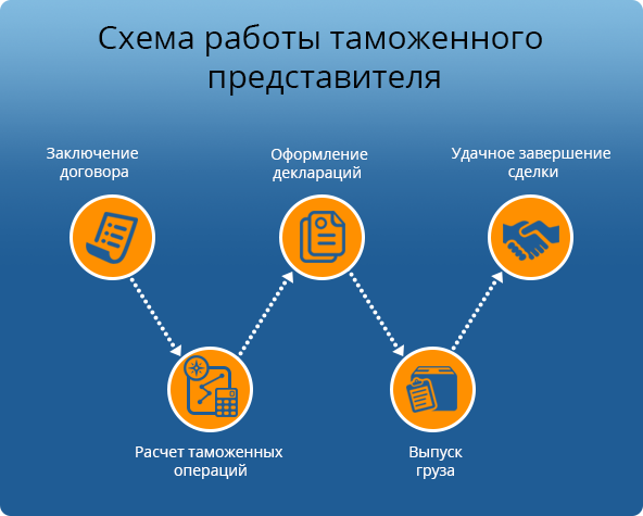 Таможенный представитель. Таможенный представитель схема. Схема работы таможенного представителя. Таможенное оформление схема работы.