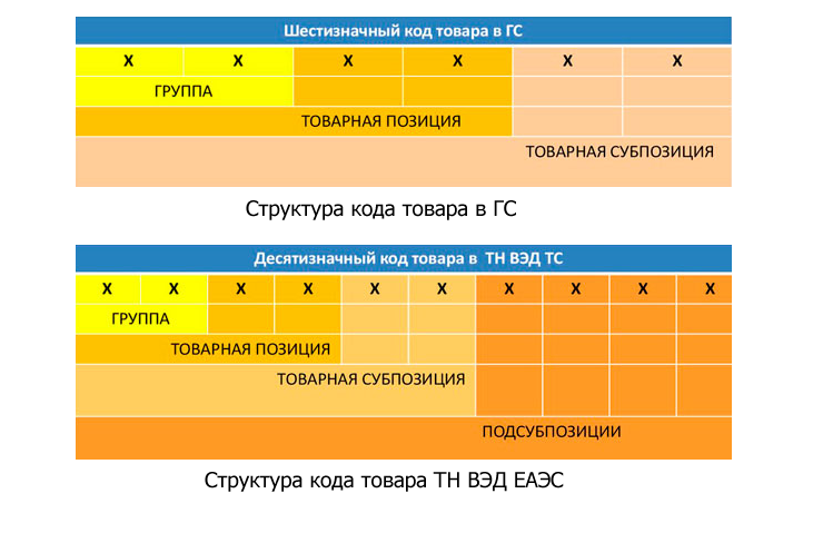 HS/TN VED Code Checks for Shipments to Russia: What Your Buyer Will Ask You For